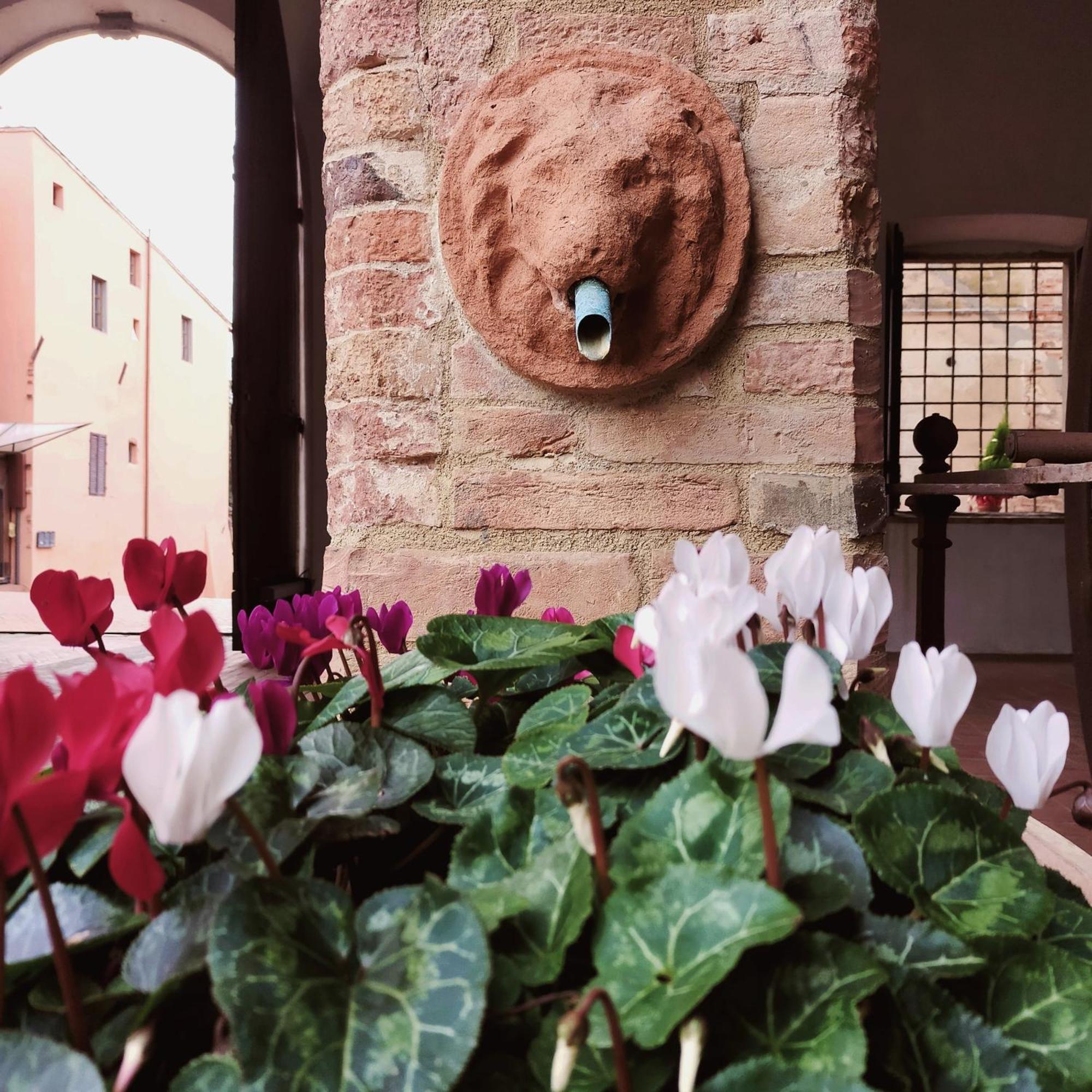 Palazzo Stiozzi Ridolfi Apartment Certaldo Exterior photo