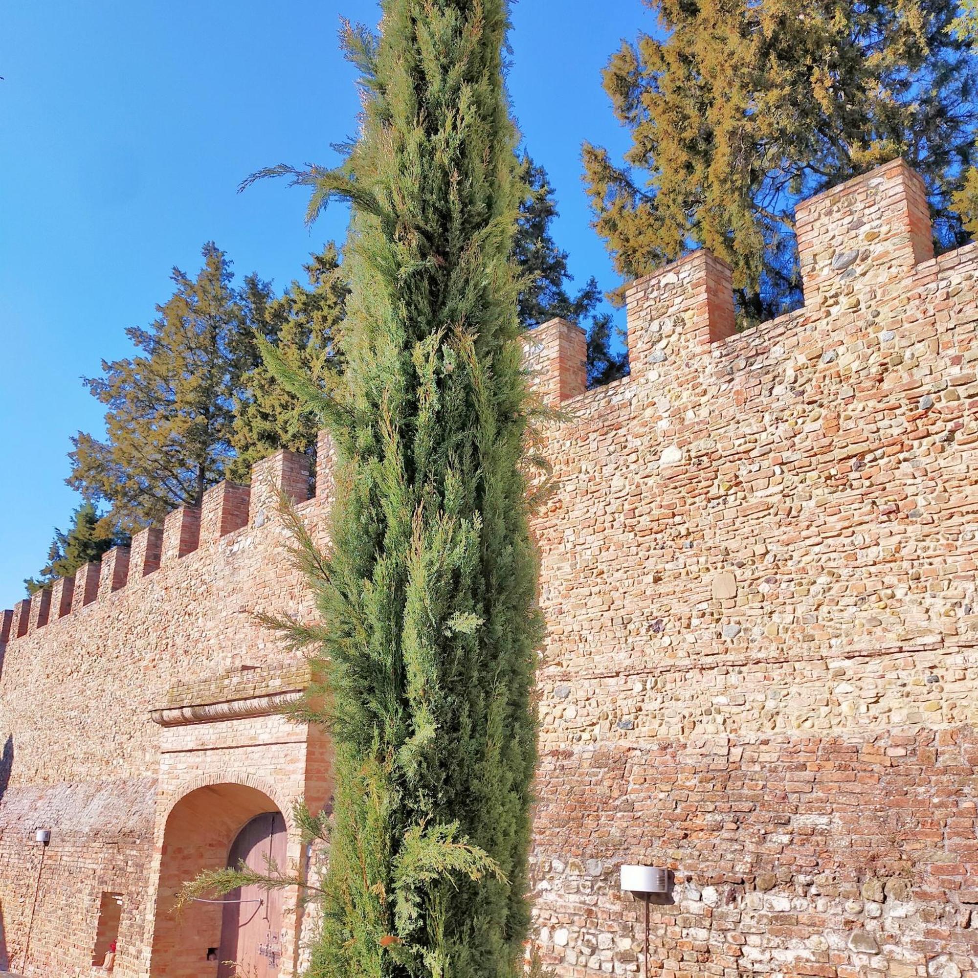 Palazzo Stiozzi Ridolfi Apartment Certaldo Exterior photo